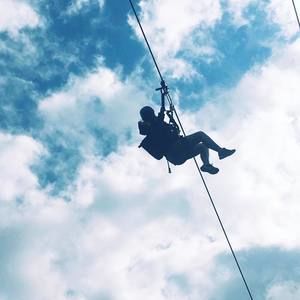 Meet your Posher, Taylor